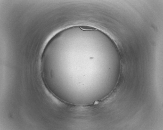 X0000115821527200911271127