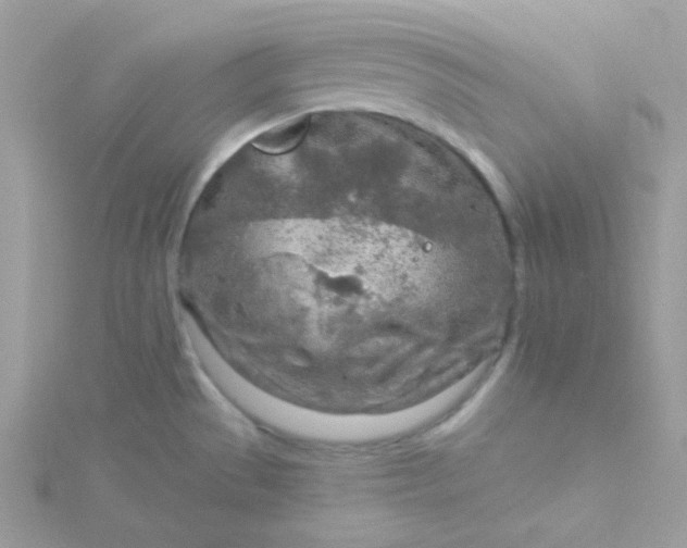 X0000115821529200911271127