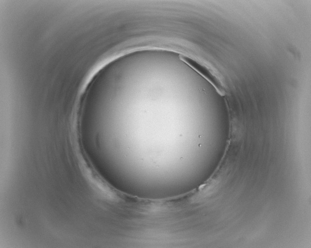 X0000115821530200911271127