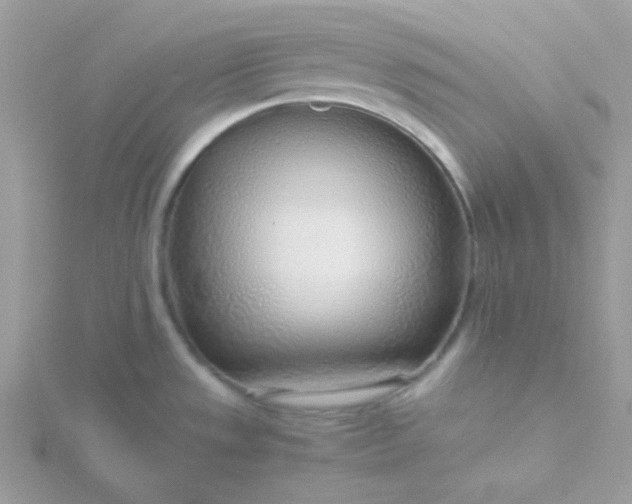 X0000115821533200911271127