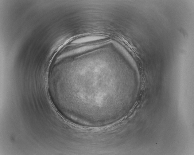 X0000115820002200912041636