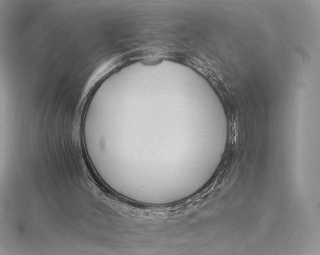 X0000115820004200912041636