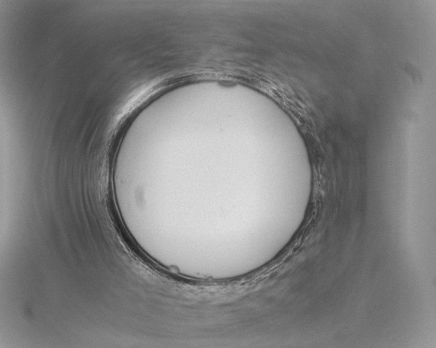 X0000115820005200912041636