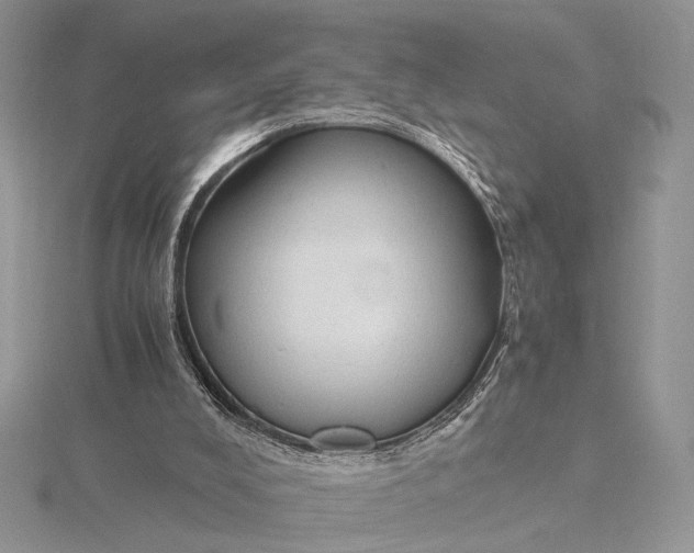 X0000115820008200912041636