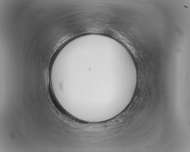 X0000115820011200912041636