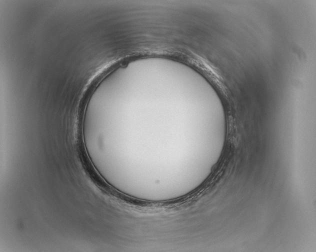 X0000115820012200912041636