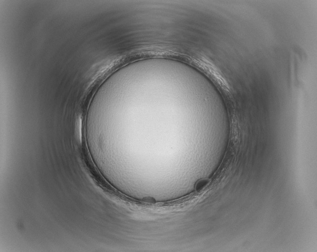 X0000115820014200912041636