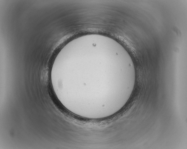 X0000115820016200912041636