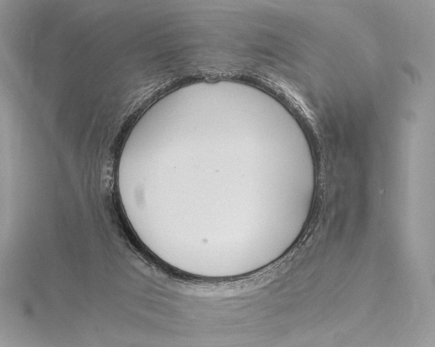 X0000115820017200912041636