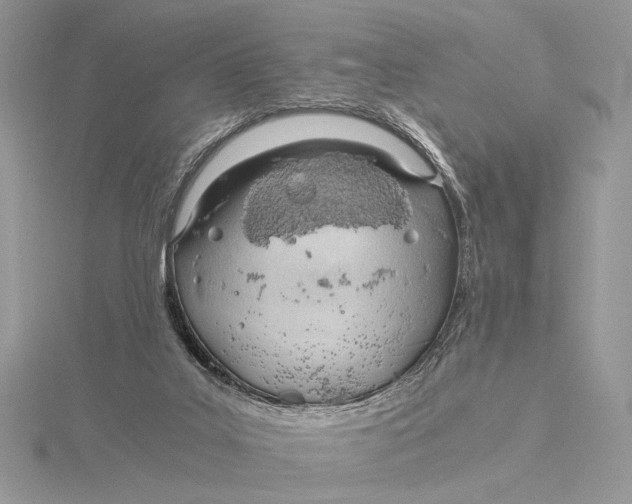 X0000115820019200912041636