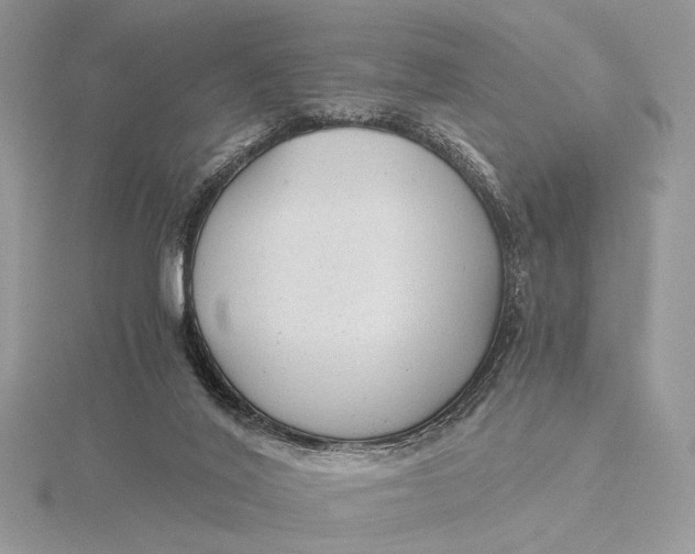 X0000115820020200912041636