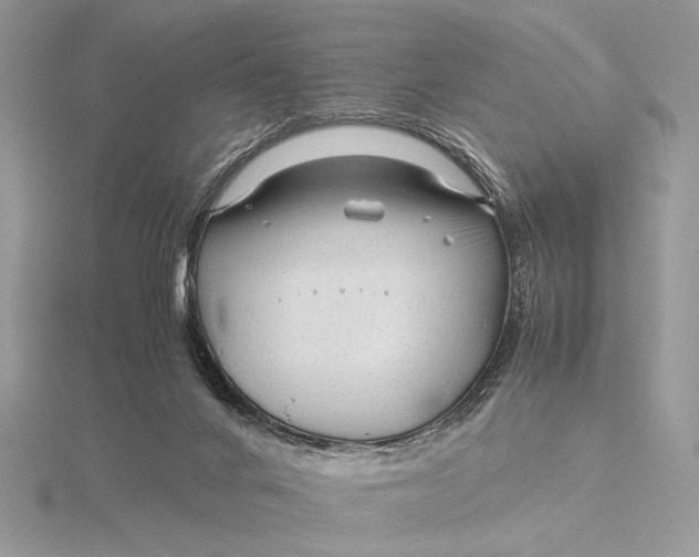 X0000115820024200912041636