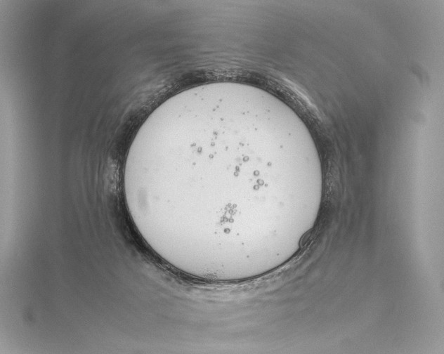 X0000115820025200912041636