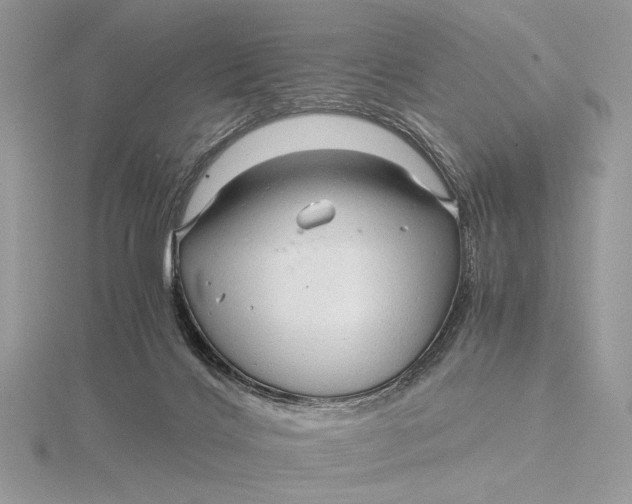 X0000115820028200912041636