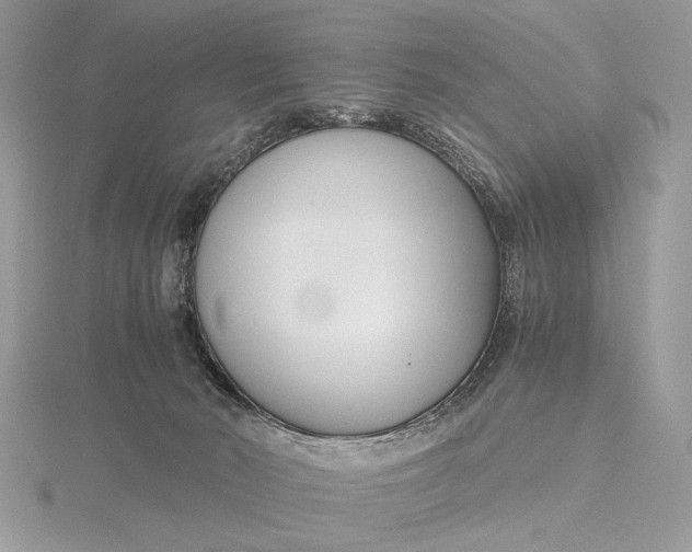 X0000115820030200912041636