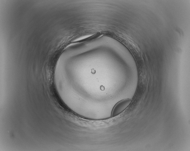 X0000115820031200912041636