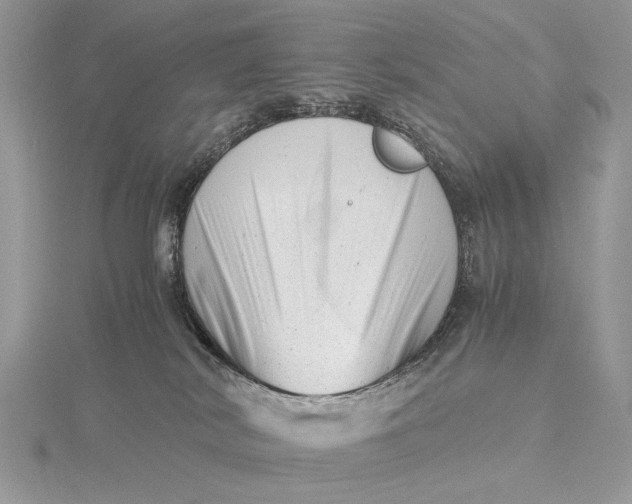 X0000115820038200912041636