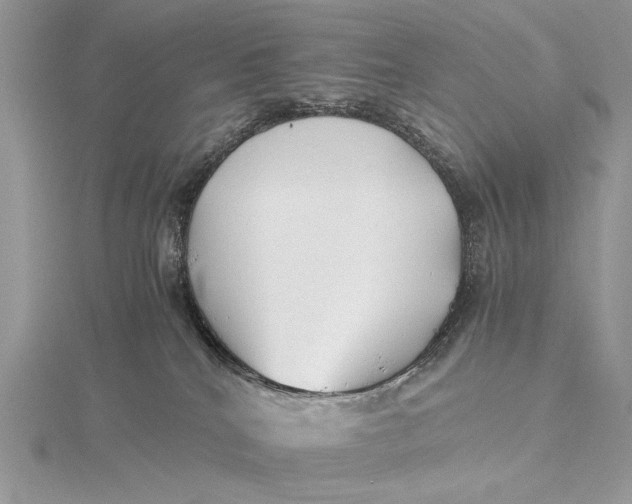 X0000115820040200912041636