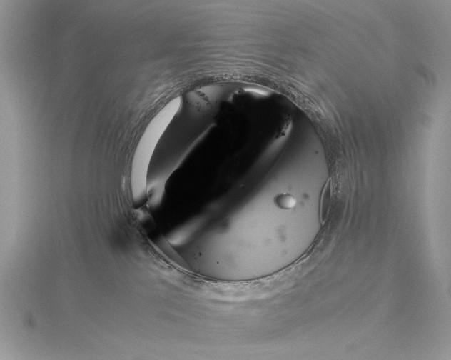 X0000115820041200912041636