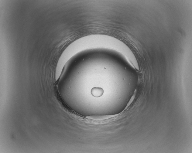 X0000115820043200912041636