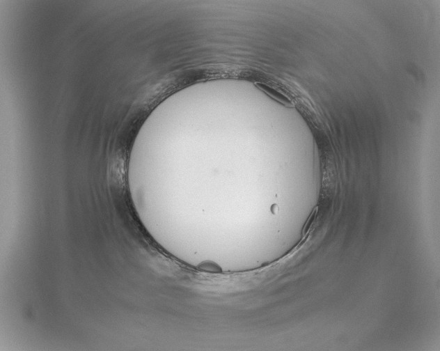 X0000115820045200912041636