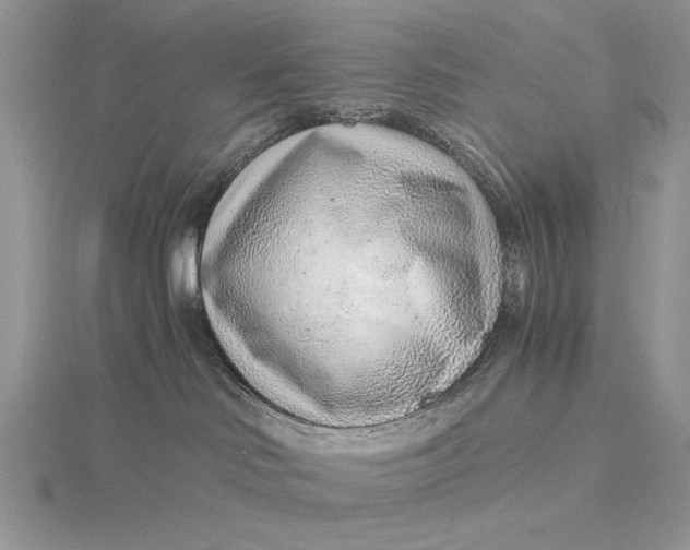 X0000115820046200912041636