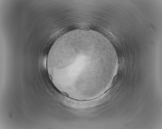 X0000115820047200912041636