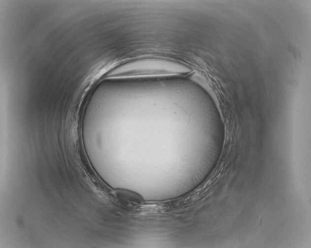 X0000115820050200912041635