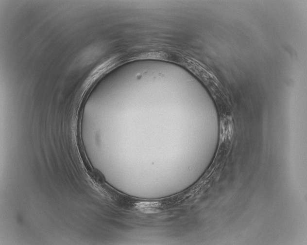 X0000115820051200912041635