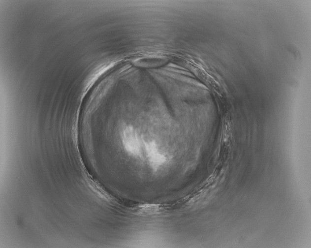 X0000115820052200912041635