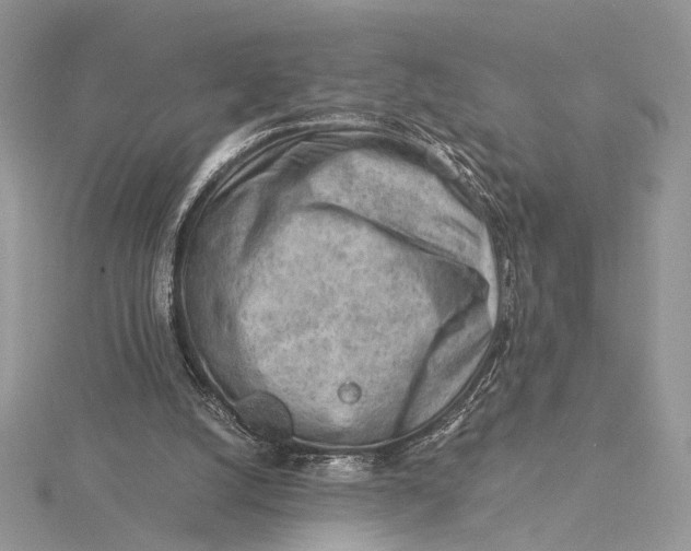 X0000115820056200912041635