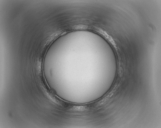 X0000115820057200912041635