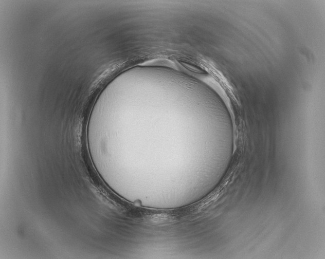 X0000115820058200912041635