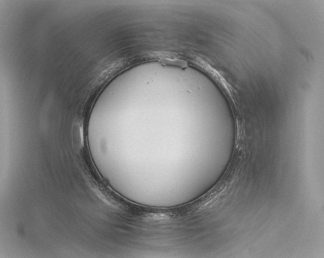 X0000115820061200912041635