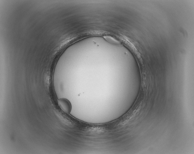 X0000115820063200912041635