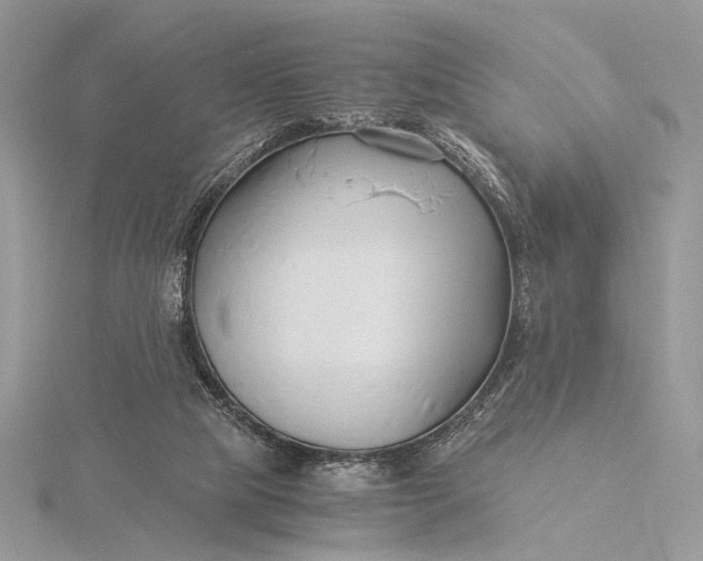 X0000115820065200912041635