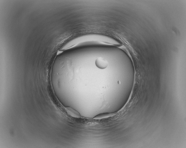 X0000115820066200912041635