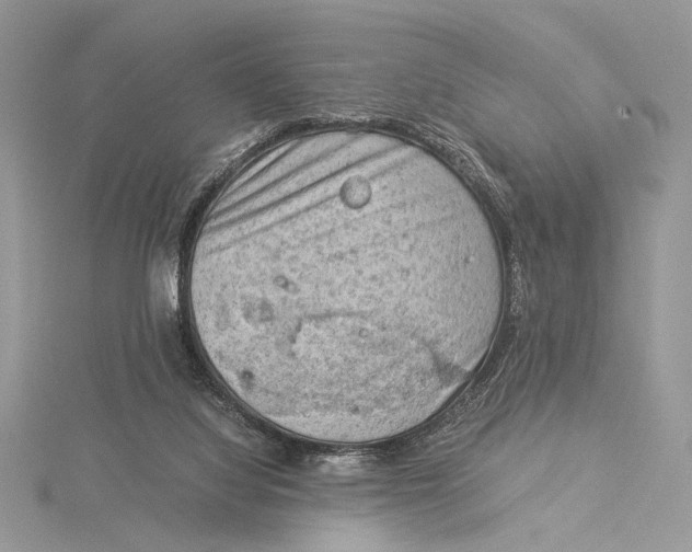 X0000115820068200912041635