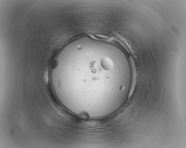 X0000115820069200912041636