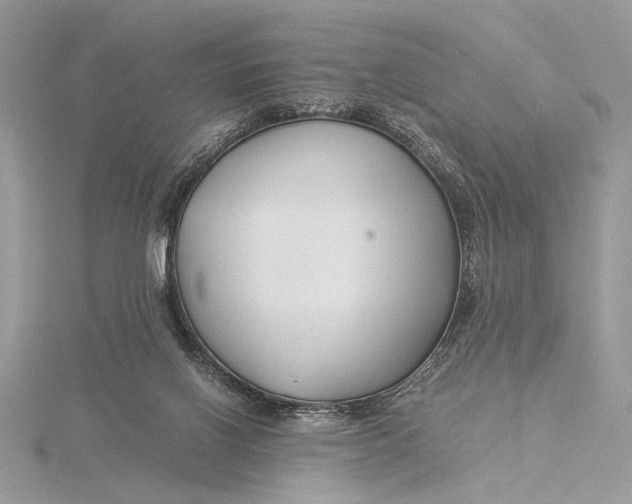 X0000115820070200912041636