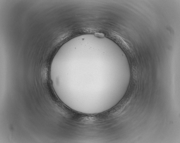 X0000115820071200912041636