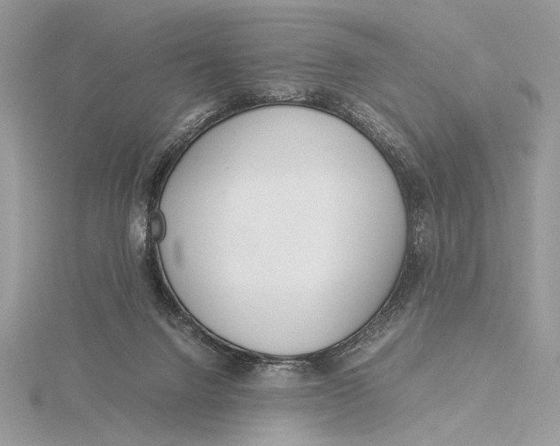 X0000115820072200912041636