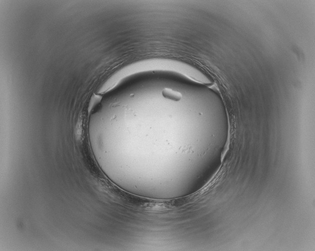 X0000115820074200912041636