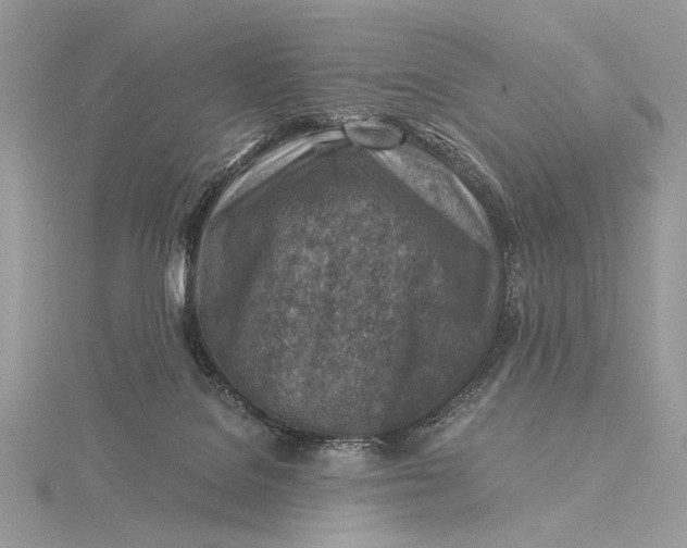 X0000115820076200912041636