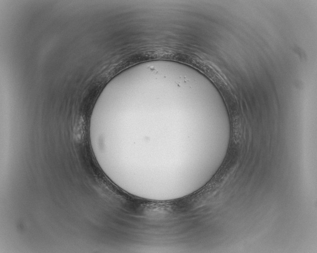 X0000115820077200912041636