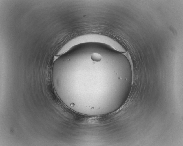 X0000115820078200912041636