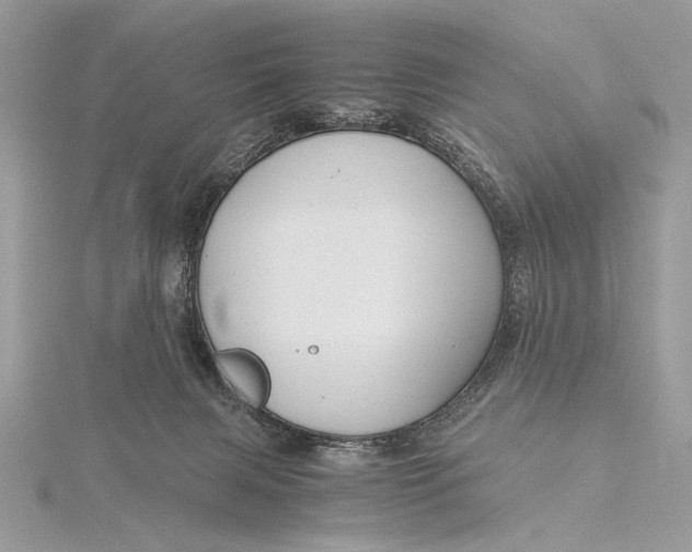 X0000115820079200912041636