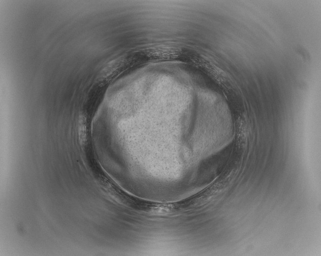 X0000115820080200912041636