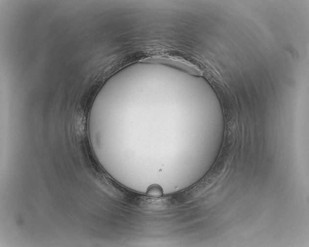 X0000115820081200912041636