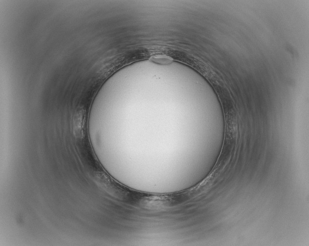 X0000115820082200912041636